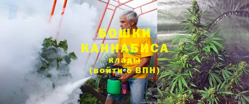 Канабис SATIVA & INDICA  купить наркотики цена  hydra ССЫЛКА  Татарск 